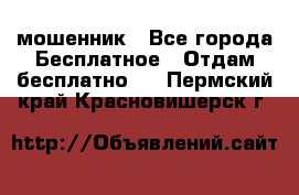 мошенник - Все города Бесплатное » Отдам бесплатно   . Пермский край,Красновишерск г.